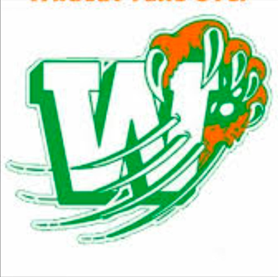 Wilkinson County High