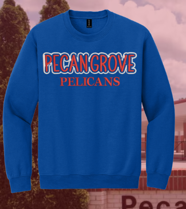 Pecan Grove Primary Puff Embroidered Crewneck