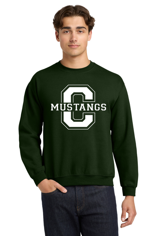 Central Middle Crewneck Sweatshirt - Forest Green