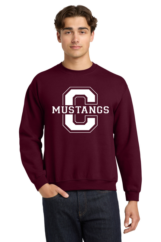 Central Middle Crewneck Sweatshirt - Maroon