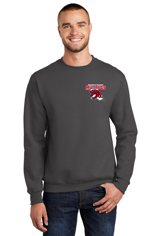 Sorrento Primary Charcoal Crewneck Sweatshirt
